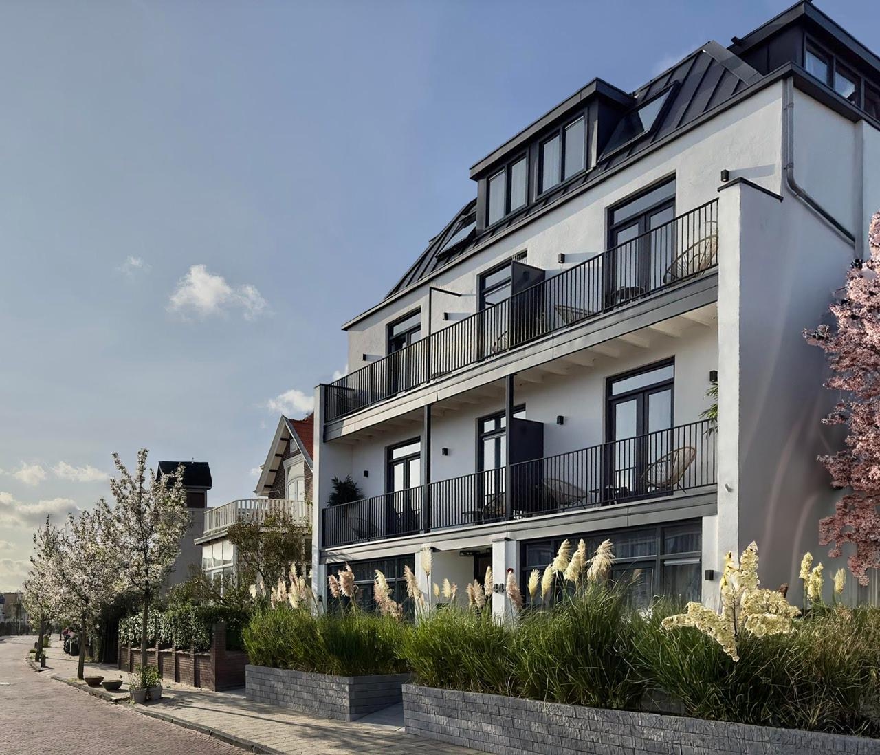 Zandvoort dunes